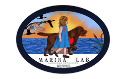 Allevamento Labrador & Golden MARINA LAB