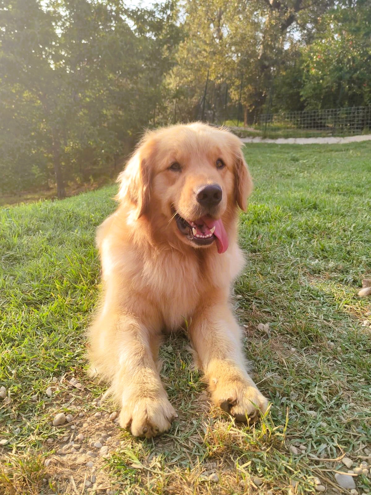 ROSARIO I DE ARERUNGUA