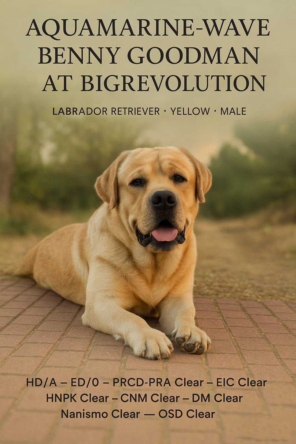 AQUAMARINE-WAVE BENNY GOODMAN AT BIGREVOLUTION